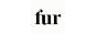 Fur - Yotpo